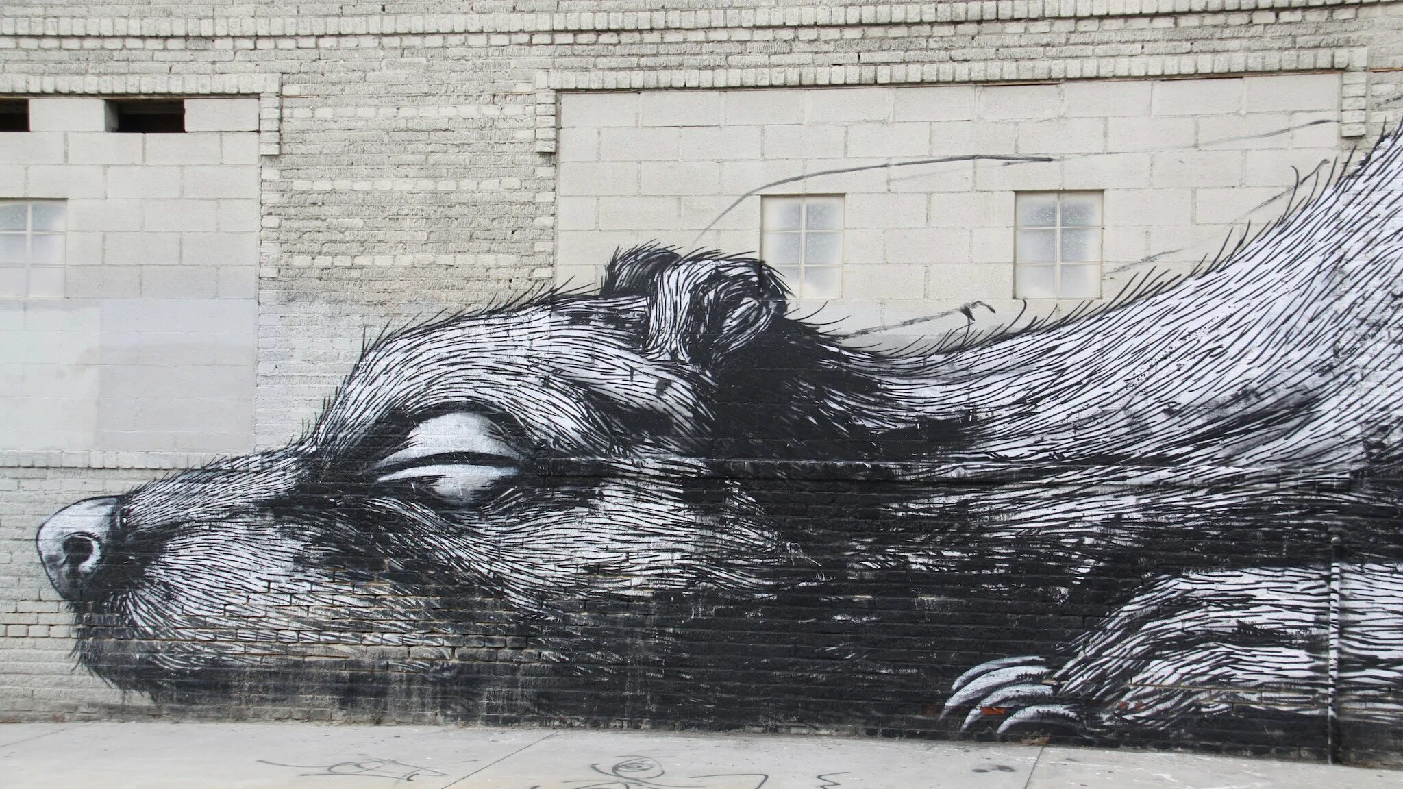 стрит арт монохром. Not everyone likes street art. Not everyone likes street art. женская одежда стрит арт. стрит арт.