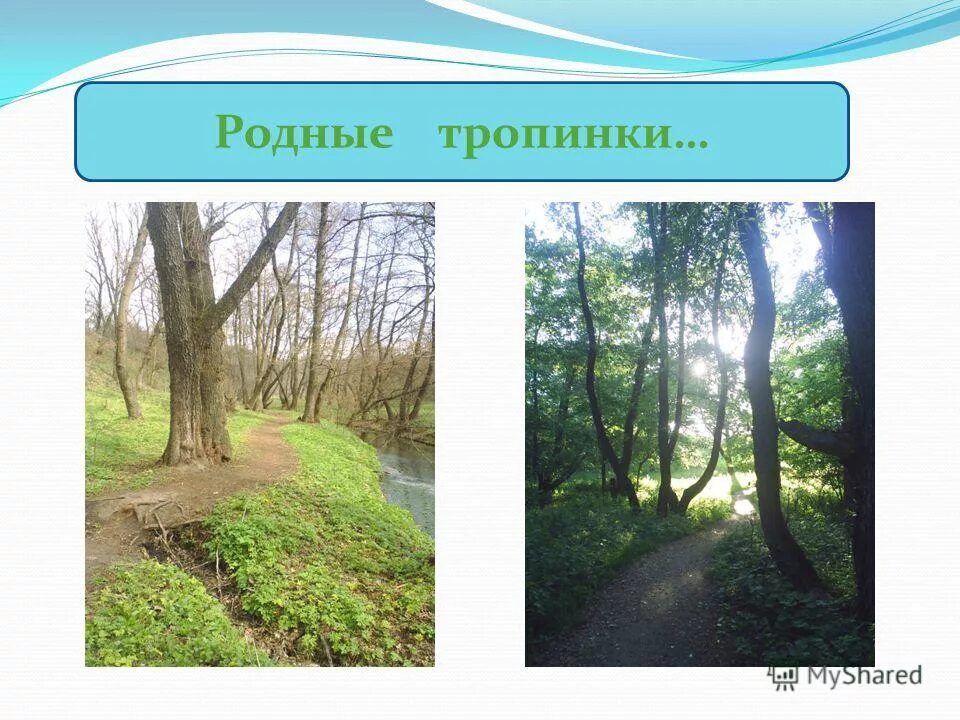 Родные тропы. Ольховые колки каменский район. Деревня демкино рязанская область. Родные тропы. Деревенские тропинки марий эл.