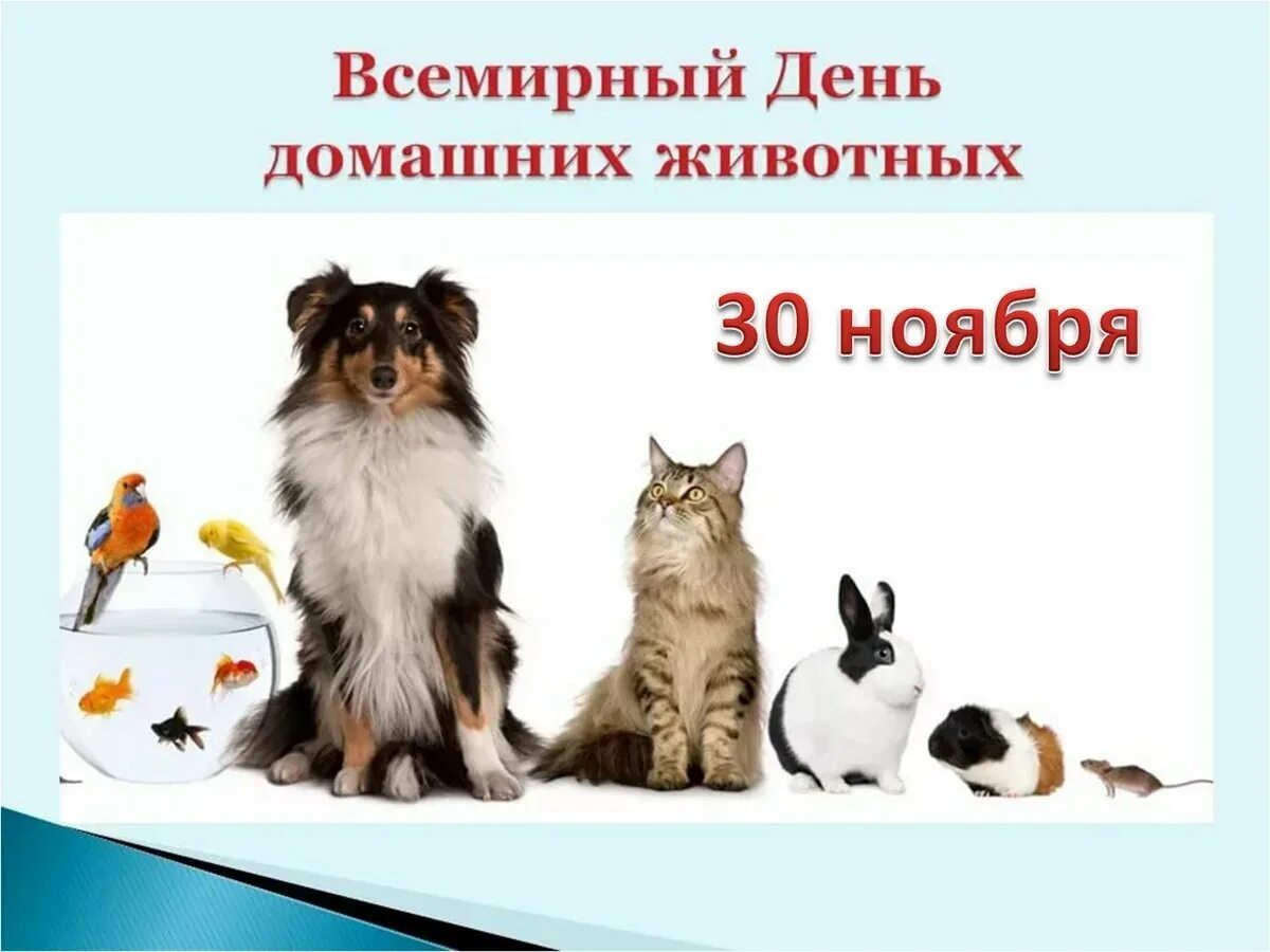 Всемирныйдент домашних животных. 30 Ноября день домашних животных. Всемирный день защиты домашних животных. Всемирный день домашних животных открытки.