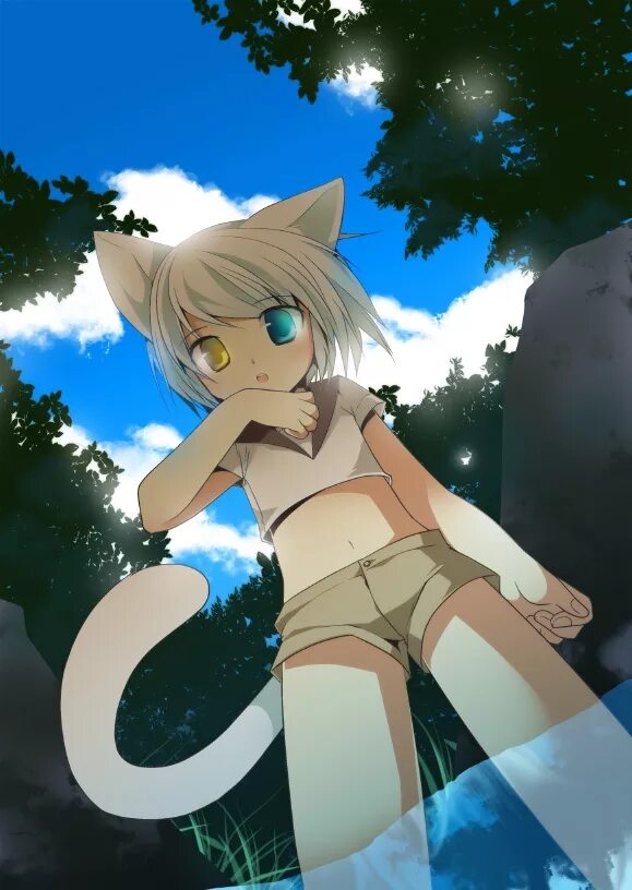 Скин кошки в майнкрафте. Скины в майнкрафте для девочек. Красивые девушки в майнкрафте. Девочка крипер и девочка эндермен. Красивые девушки в майнкрафте.