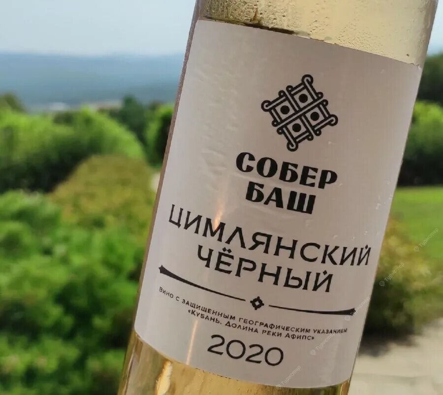 Собер баш вино. Собер баш вино