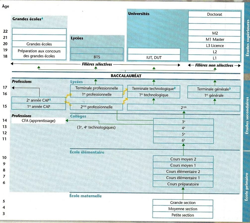 Система образования во Франции схема. Этапы образования во Франции. Структура образования во Франции. Система образования во Франции таблица. Сборники система образования