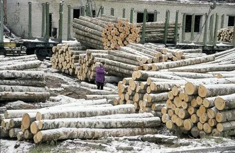 Лесная промышленность архангельской