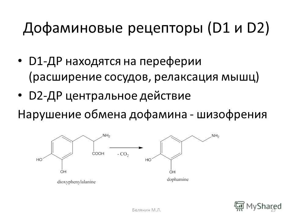 Стимуляторы дофаминовых рецепторов. Дофаминовые д2 рецепторы локализация. D1 d2 рецепторы дофамина. Дофаминовые рецепторы схема.