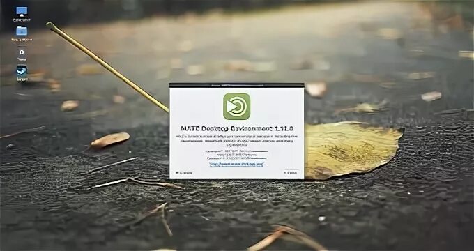 Mate environment