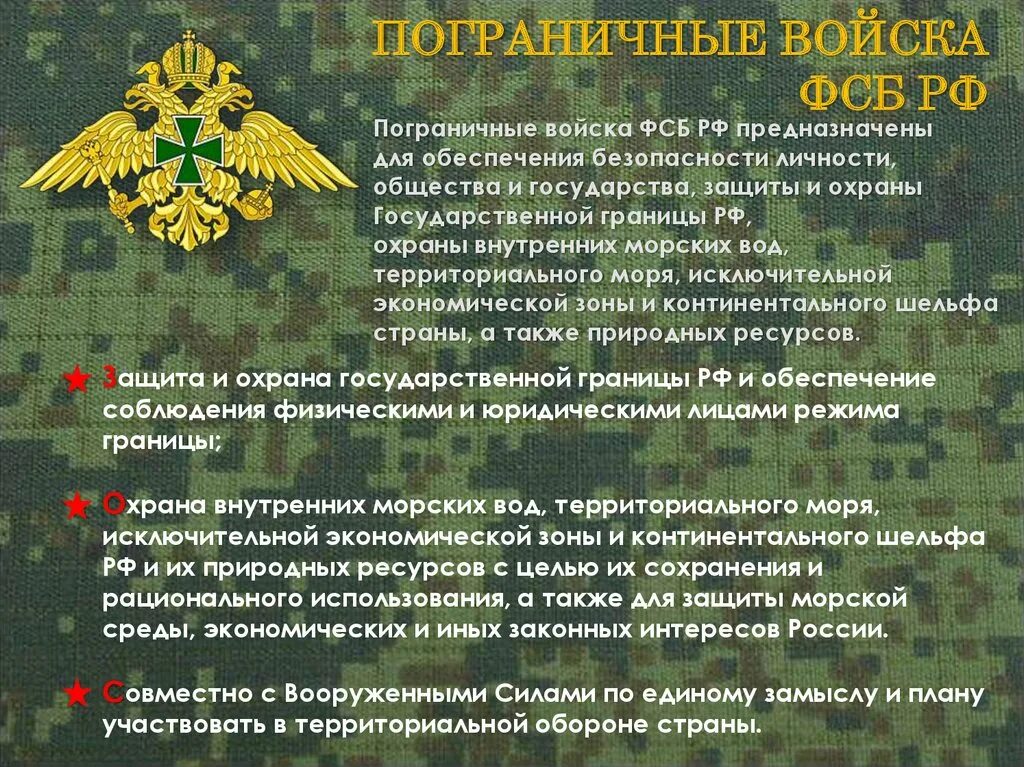 Военно административная организация. Пограничные войска.