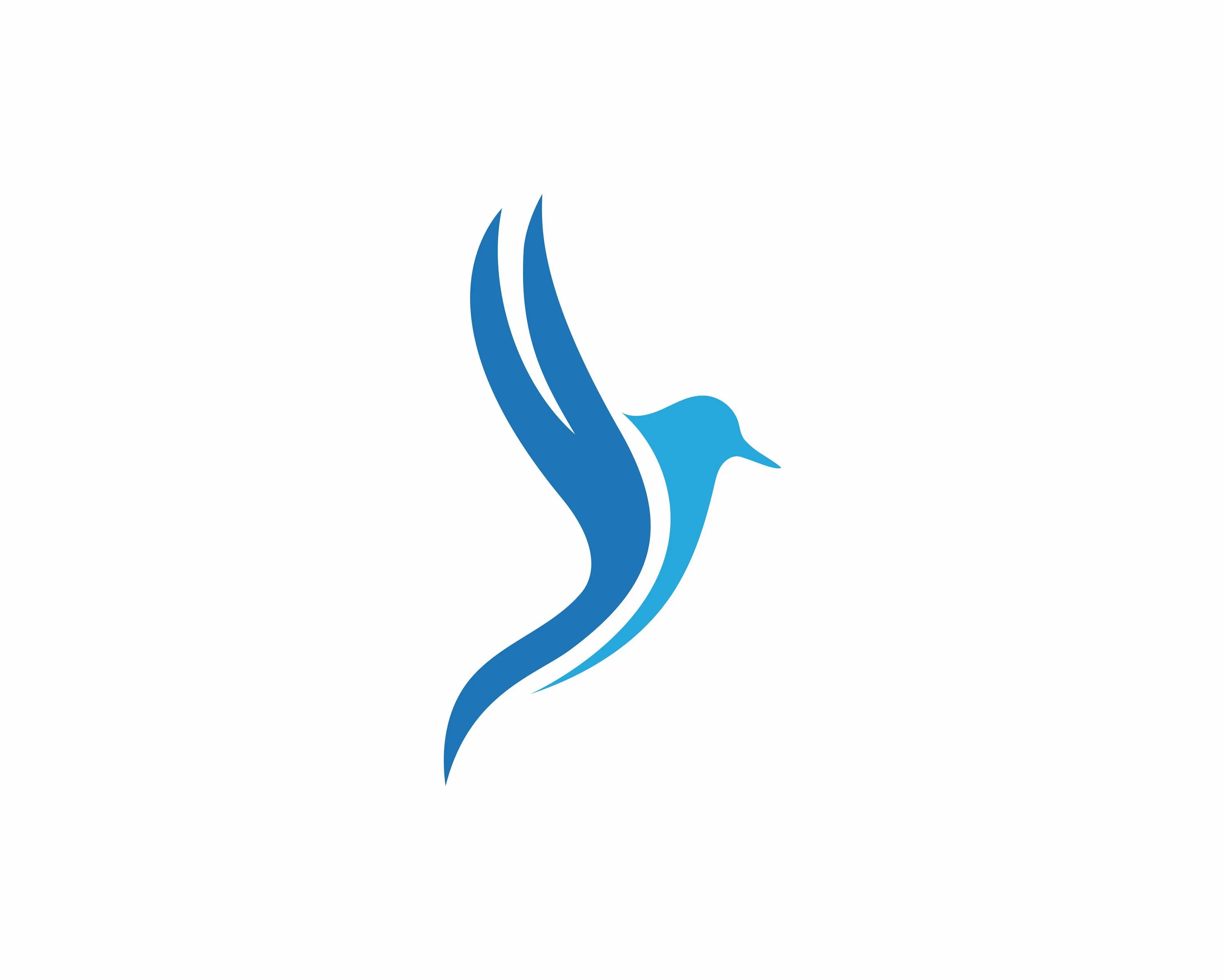 Райская птица на гербе. Логотип птица. Синяя птица логотип. Синяя птица вектор. Птица логотип вектор.