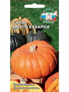 Тыква скрипкина