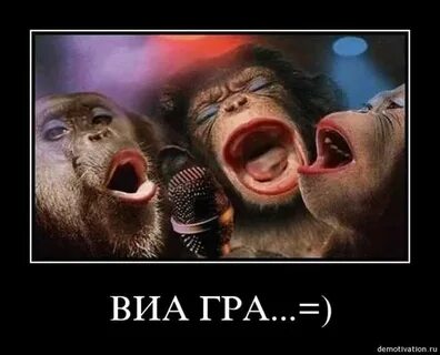 Поющие обезьяны
