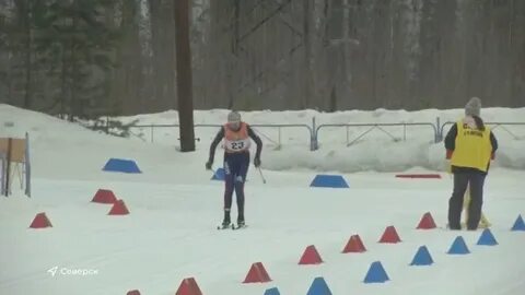 Сыктывкар соревнования по лыжным гонкам