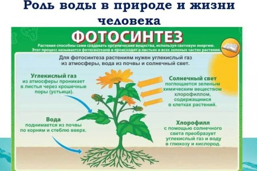 Солнечный свет охватывал и согревал огэ
