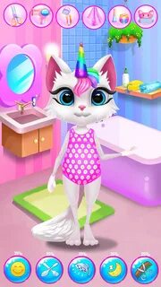 Kitty kate