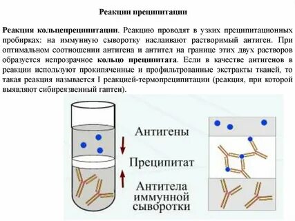 Преципитация иммунных комплексов