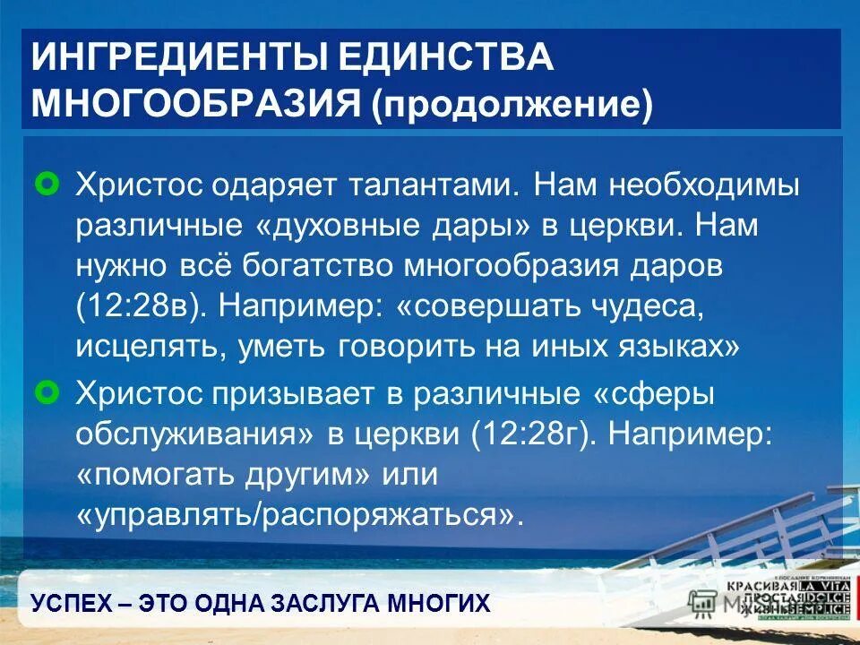 Богатство в многообразии