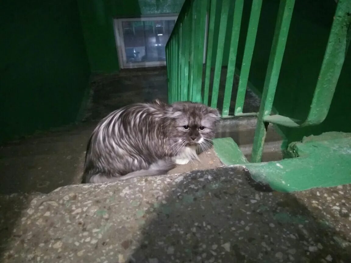 подслушано бронницы вконтакте 24. подслушано бронницы вконтакте. бронницы подслушано в контакте вконтакте 24. подслушано в бронницах 24. подслушано в бронницах 24.