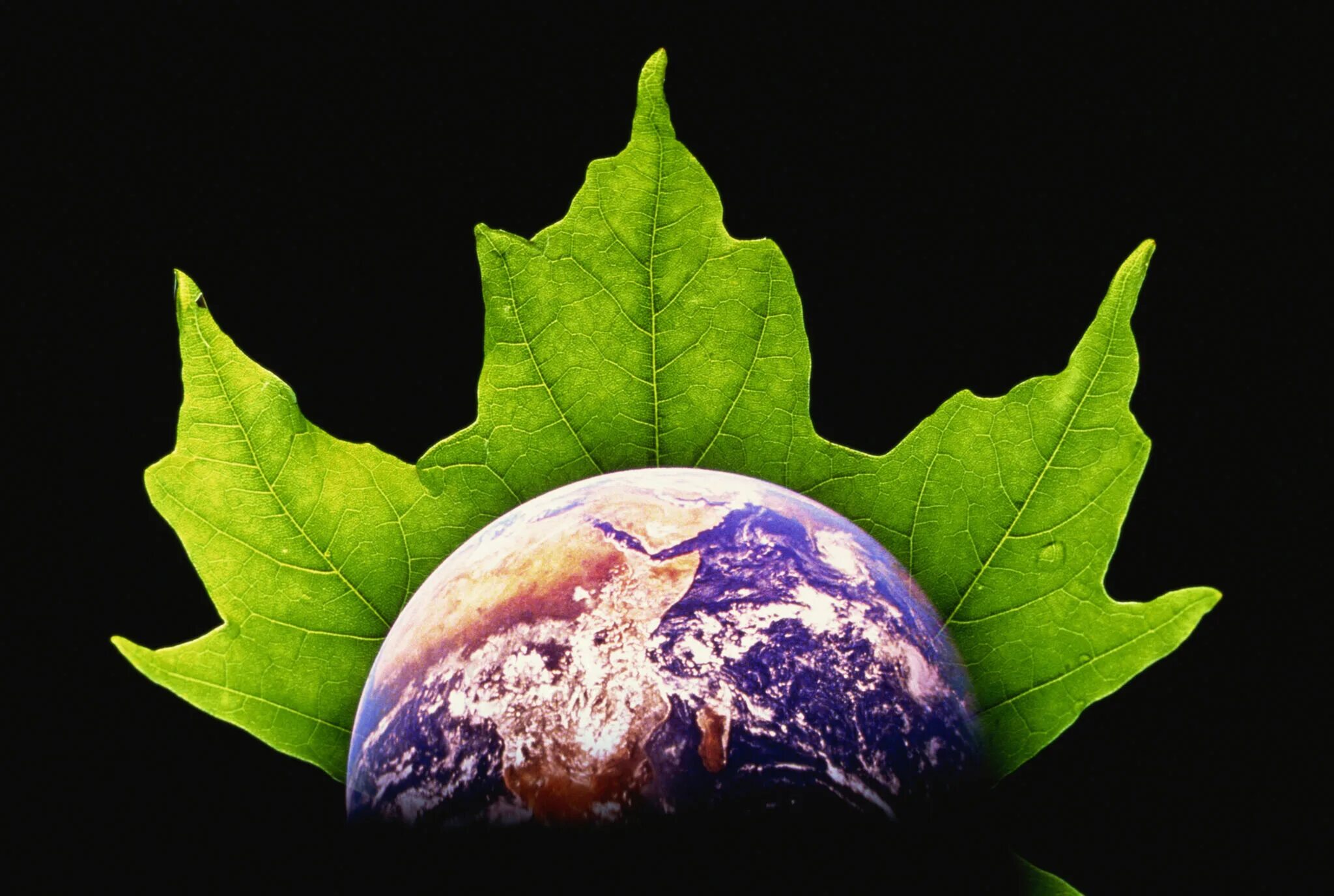 How can people save nature resources. Natural resources. save natural resources. limited natural resources. natural resources and environment.