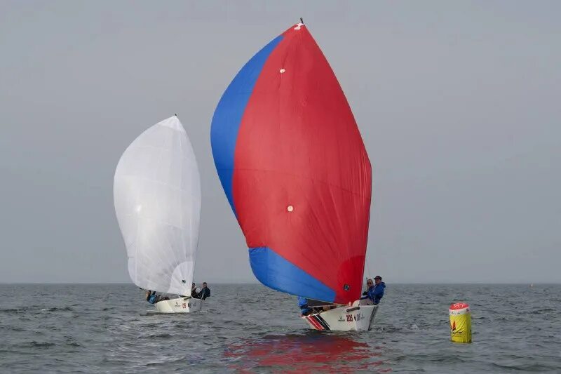 Sail 6-qa-180. Парусная яхта dufour atoll 6. Тримаран «фламинго» японской фирмы «куойва». Регата черногория. Яхта алюбат 58.