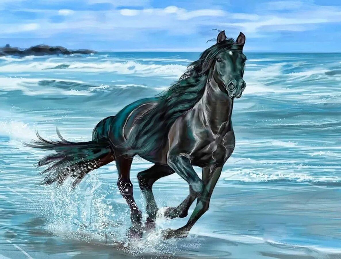 Черный конь скачет. Лошадь бежит. Красивые лошади. Черный конь. Лошадь скачет.