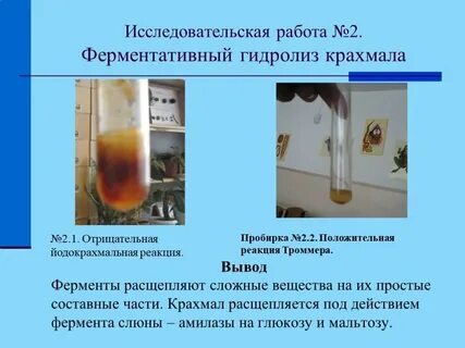 Под действием ферментов слюны