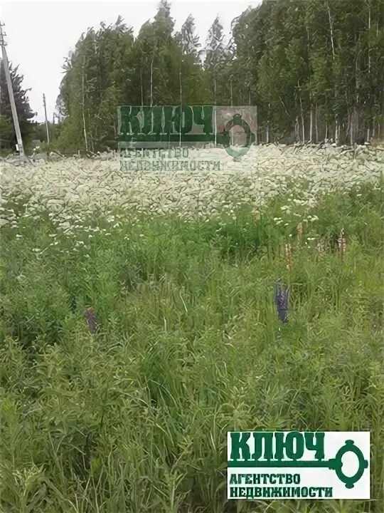 Бульвар 30 лет победы 15а волгоград. Клондайк орехово. Схема участков снт чайка. Охотник орехово-зуево домики. Клондайк орехово.