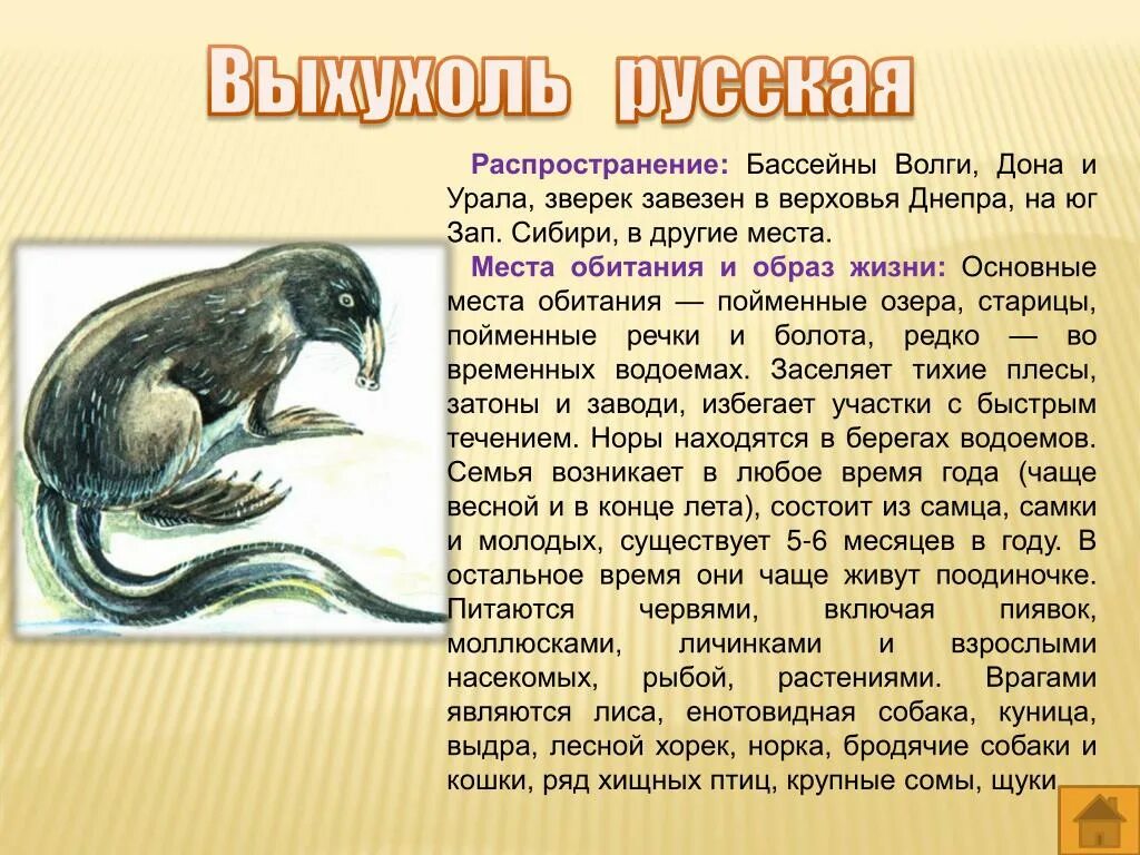 В воде чаще обитают. Синий кит питается планктоном. Дыхание китообразных. Ламантины во флориде. В морях и реках обитает но часто по небу летает.