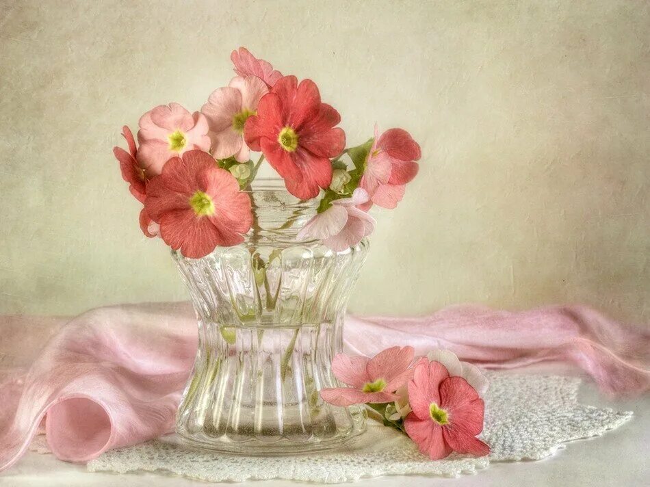 фото открытка яркий букет в вазе. цветы в вазе. розовые розы в вазе. букет шикарный. натюрморт с цветами на светлом фоне.