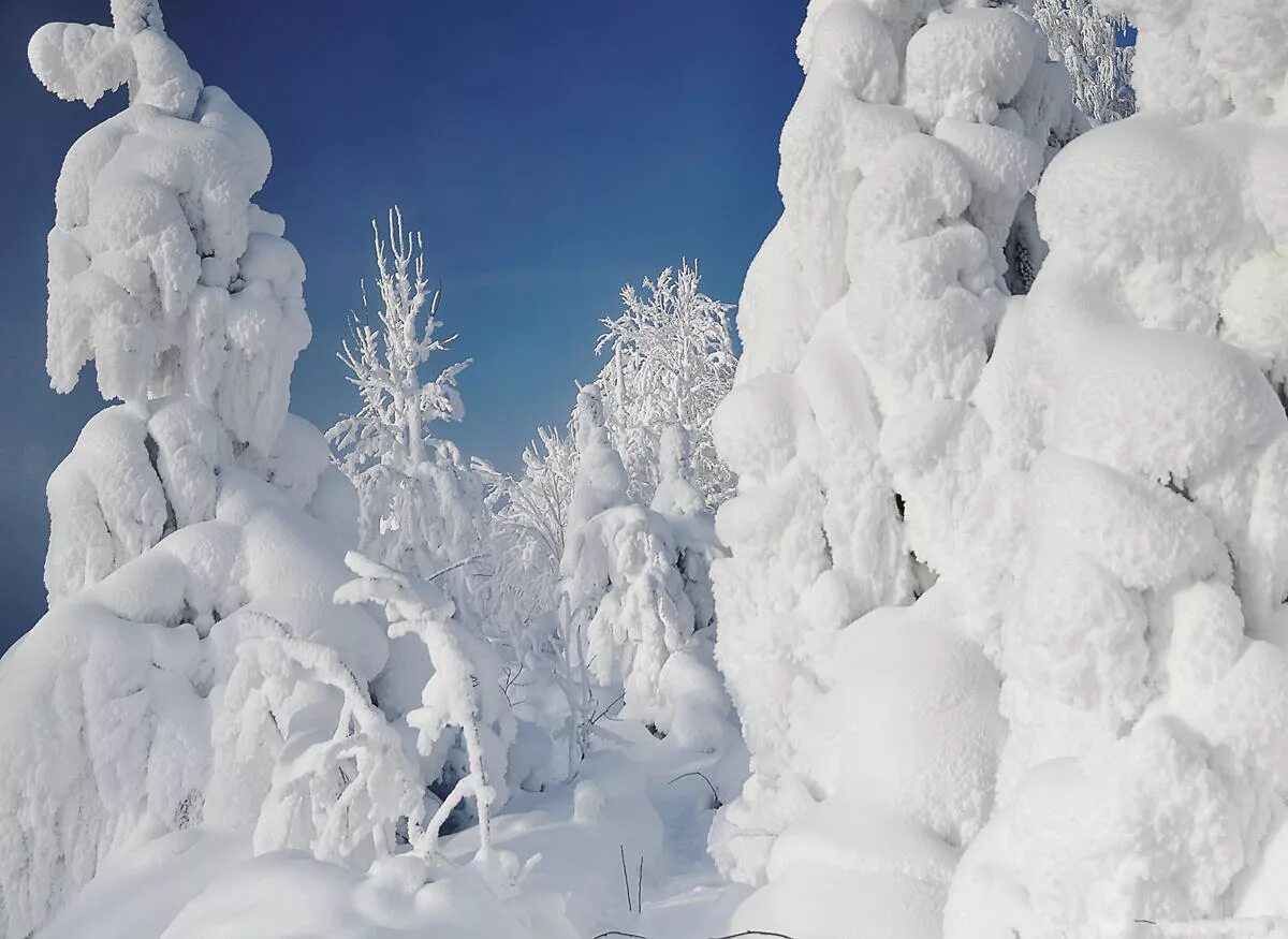 Снежное богатство. Красота зимы. Красивые снежные места. Снежная красота зимы. Самая Снежная зима.