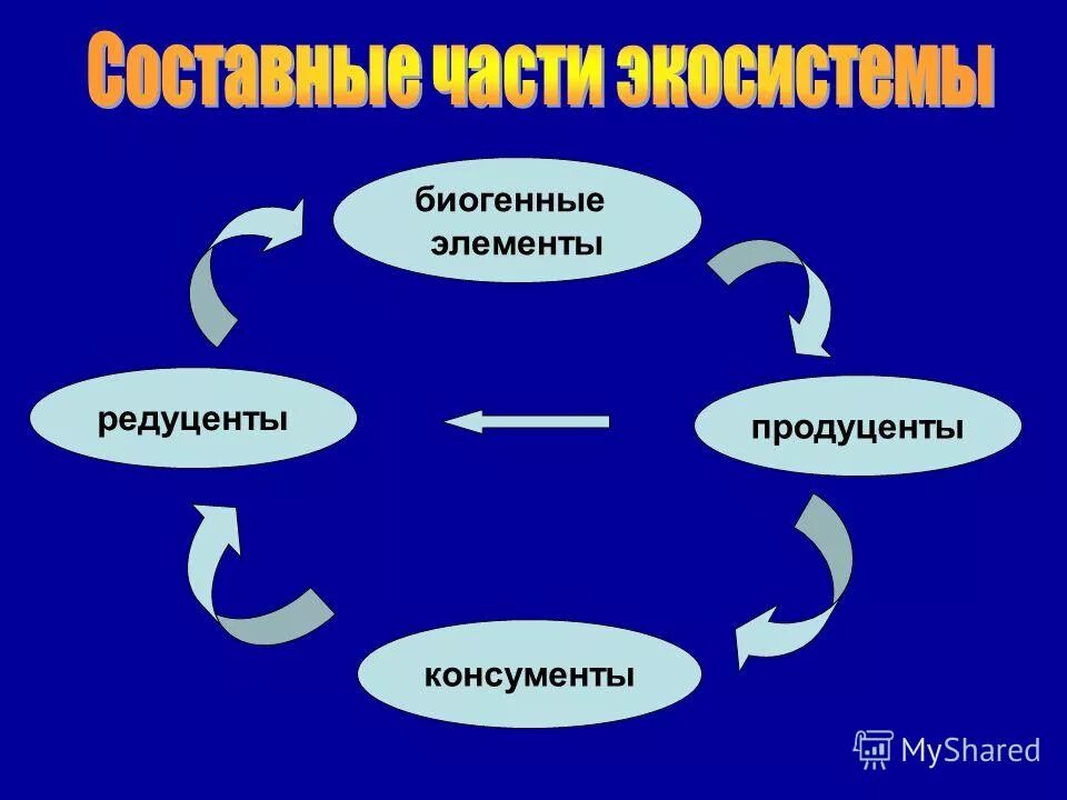 биогенный круговорот веществ. биогенные элементы экосистемы. круговорот биогенных веществ схема. круговороты основных элементов в биосфере. круговорот биогенных элементов в биосфере.