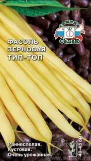 Фасоль тип 2