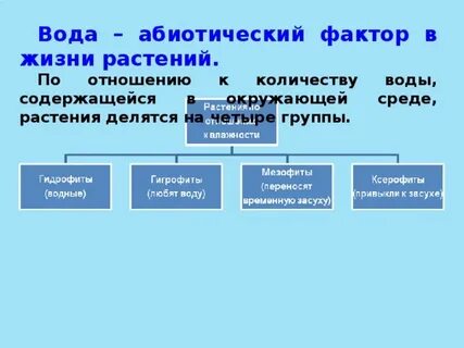 Влияние факторов среды на жизнь растений