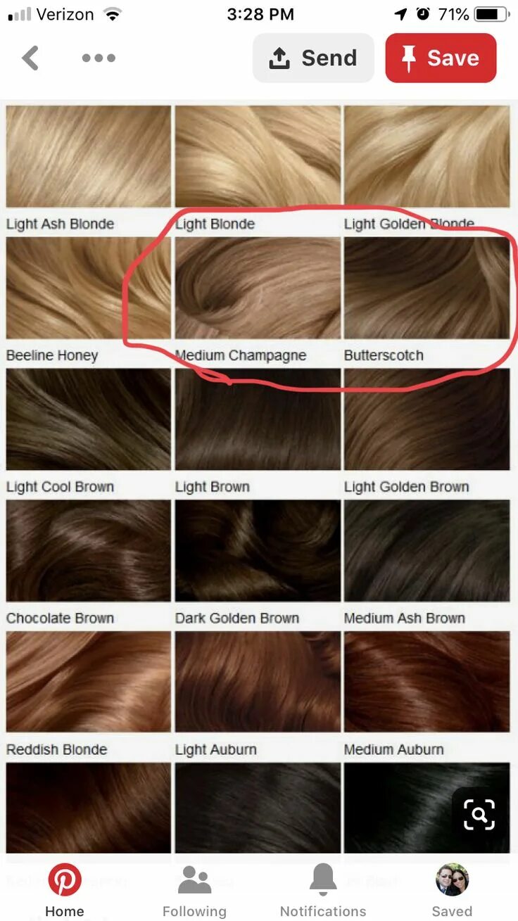 Hair Color Levels Chart Hair color light brown, Coffee brown hair, Brown hair sh