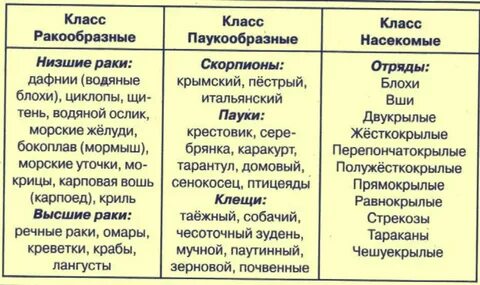 Соответствие между характеристиками и классами членистоногих