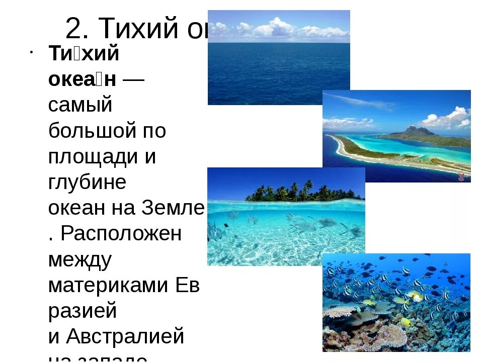 Океаны 1 кратко. Тихий океан презентация. Тихий океан доклад. Презентация география тихий океан. Сообщение о тихом океане.
