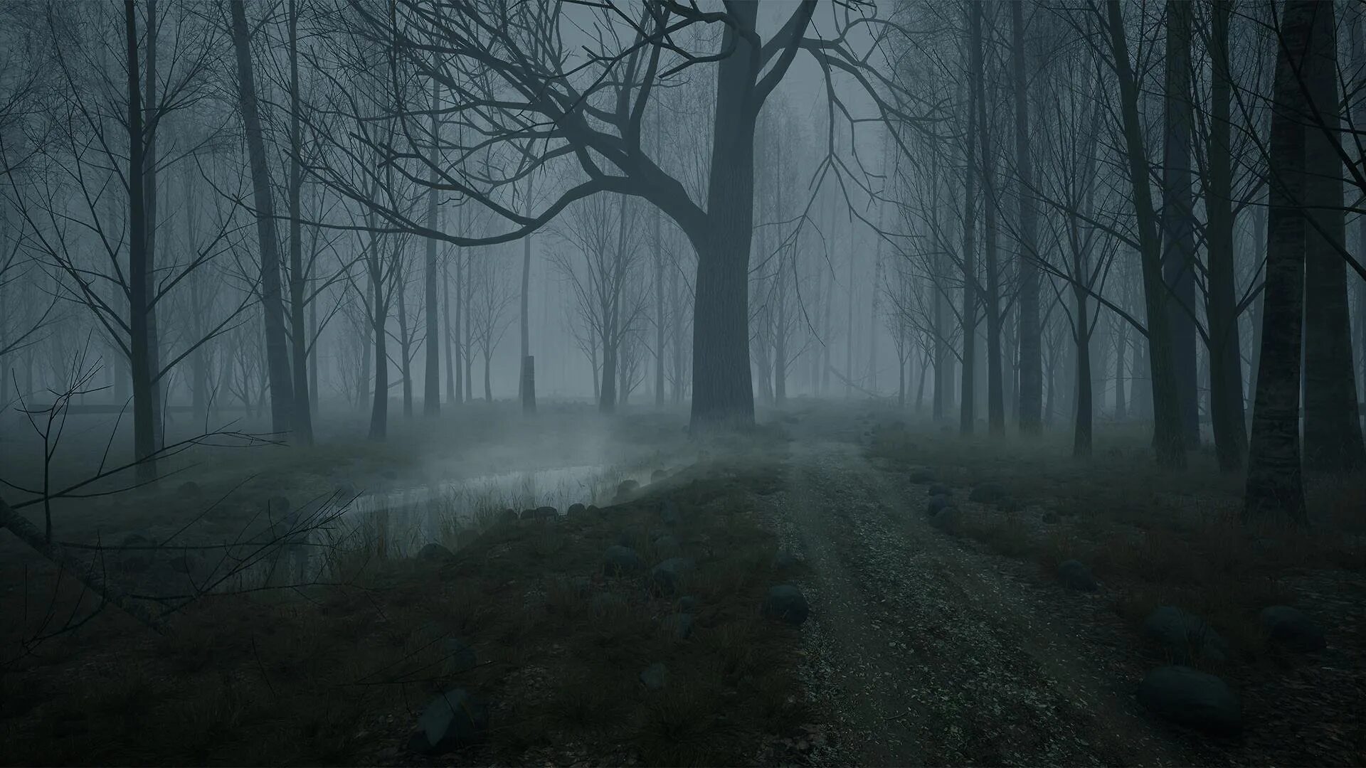 Фон мрачного леса. Мрачный фон. мрачный пейзаж. мрачный лес. лес ночью в тумане.