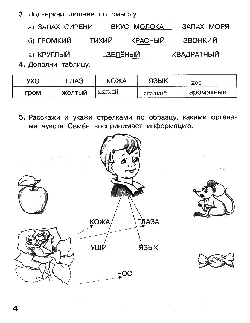 Информатика 1 класс рабочая тетрадь ответы. Информатика 2 класс рабочая тетрадь матвеева ответы. гдз по информатике 2 класс рабочая тетрадь матвеева 1 часть. гдз информатика 2 класс рабочая тетрадь матвеева. информатика 2 класс рабочая тетрадь матвеева 1 часть.