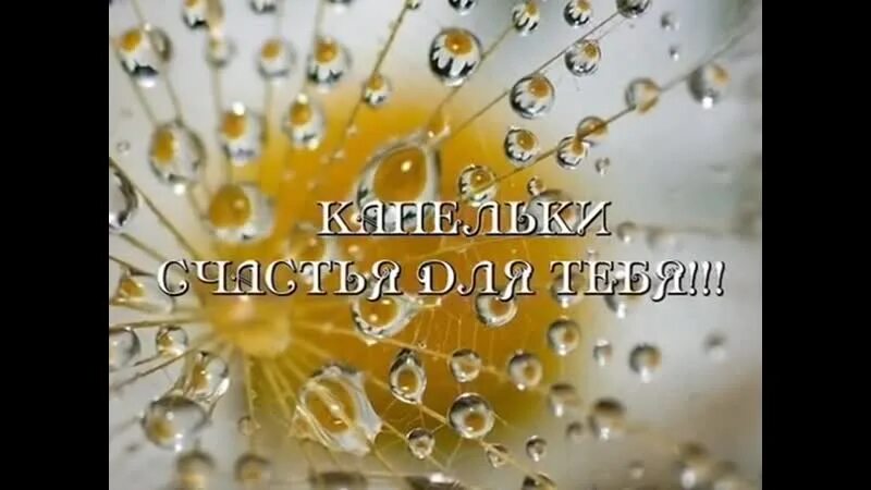 Капелька счастья. Открытки капелька счастья. Открытки капелька счастья от меня. Капелька тепла. По капельки с тобой мы однако набрались