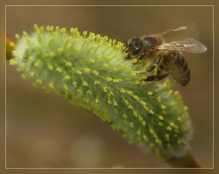 насущный это. базовые национальные ценности презентация. насущие. поцелуй на кухонном столе. злой начальник женщина.