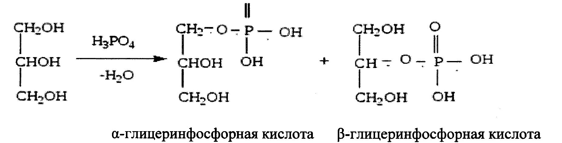 Гидроксильные группы глицерина. Глицерин плюс фосфорная кислота реакция. Взаимодействие глицерина с фосфорной кислотой. Глицерин с ортофосфорной кислотой. Глицерин плюс ортофосфорная кислота.