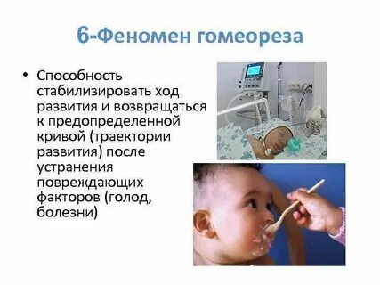 Феномен 6