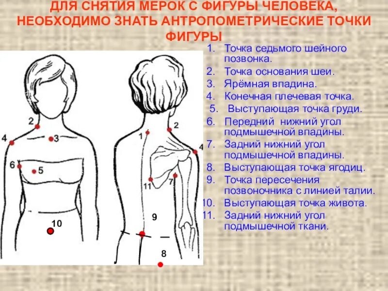 Точка спереди. Антропометрические точки фигуры человека для снятия мерок. Основные антропометрические точки тела человека. Основные антропометрические точки тела человека в конструировании. Основные ориентирные (антропометрические) точки тела человека:.