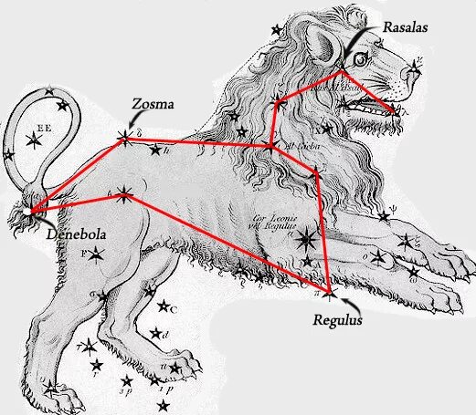 Нисходящий лев. Созвездие Льва. Денебола в созвездии Льва. Созвездие Лев схема. Изображение созвездия Льва.