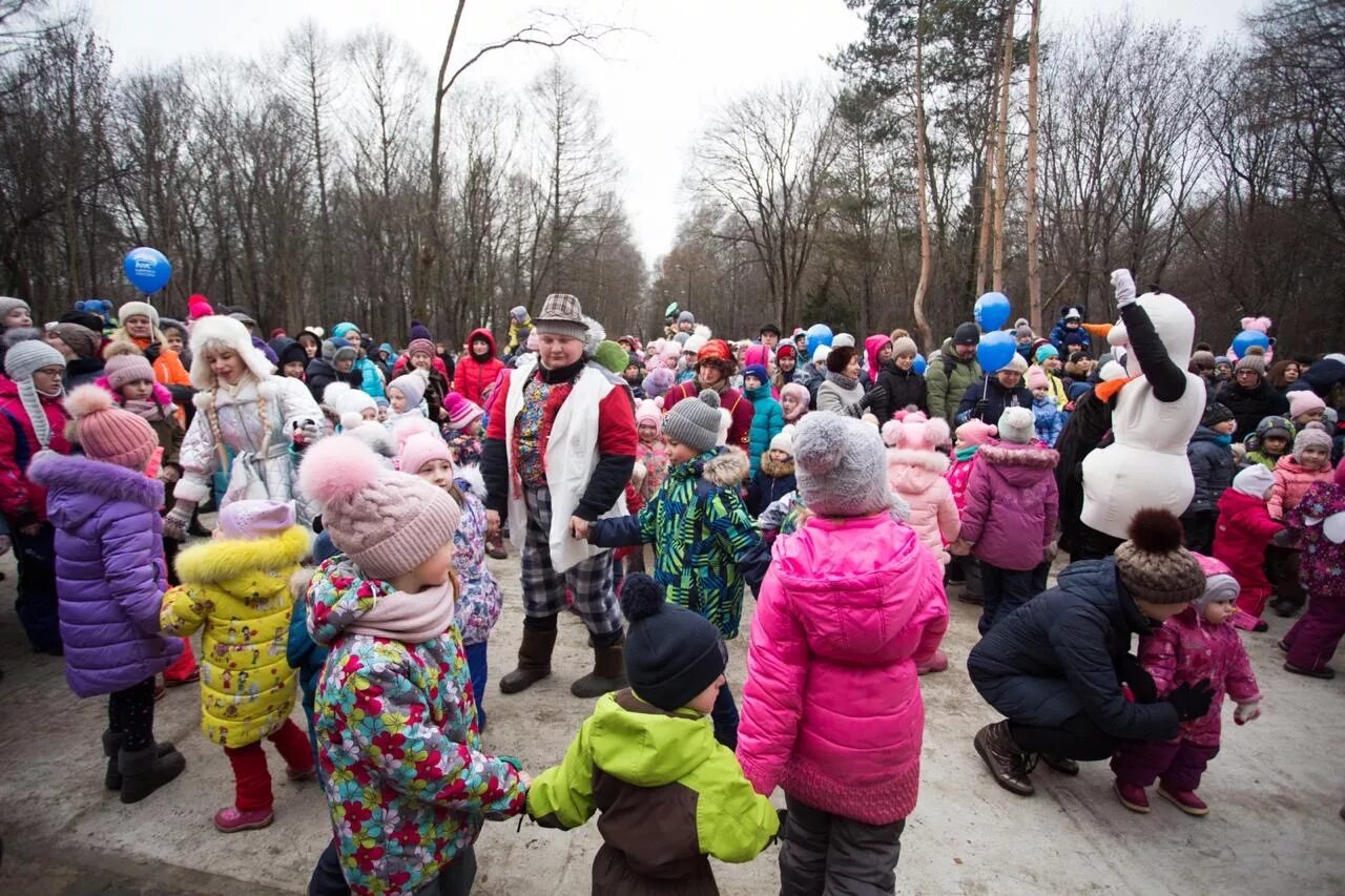 Парк дубки нижний новгород фото. Парк дубки химки. Парк дубки нижний новгород. Парк дубки сестрорецк летом. Парк дубки проект.