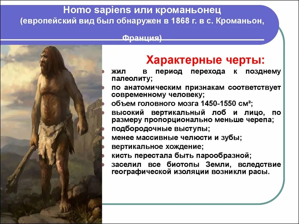 Особенности строения неандертальца. Кроманьонец ( homo sapiens). Человек разумный кроманьонец характеристика. Кроманьонцы появились. Люди современного типа кроманьонцы.