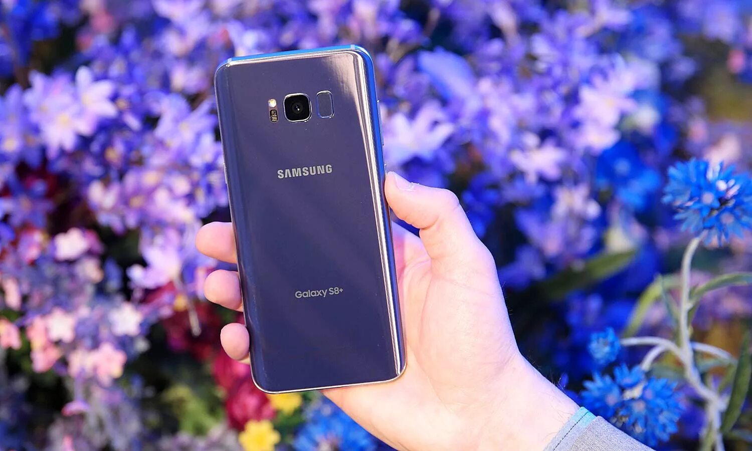 Телефон самсунг галакси с 24. Samsung Galaxy s8. Samsung s8 фиолетовый. Samsung s8 Plus аметист. Samsung s8 Violet.