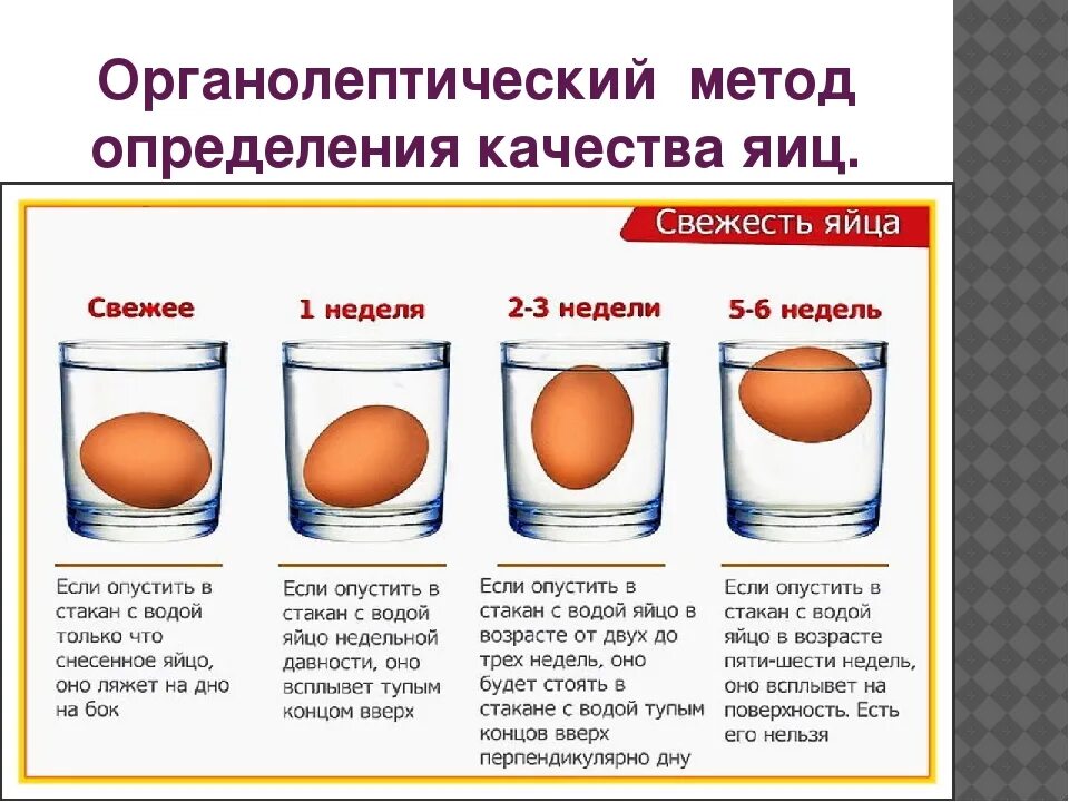 Как проверить свежесть яиц. Показатели качества яиц. оценка качества яиц куриных. способы определения качества яиц. как определить свежесть яйца.