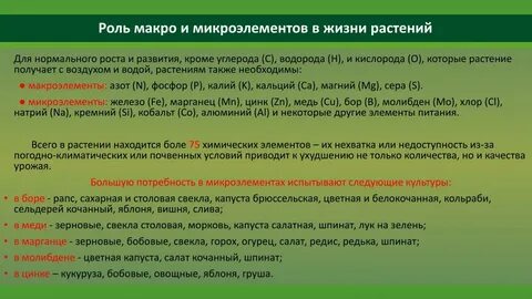 Микроэлементы в жизни растений