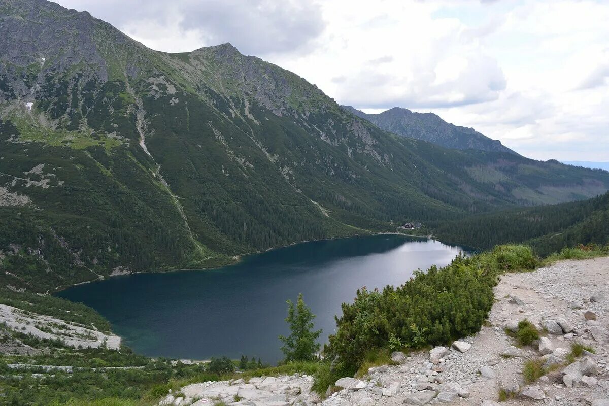 Плесо значение. Водное плесо. долгое плесо. плесо реки. польша природа.