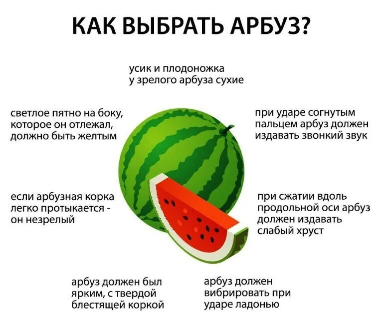 Объем какого арбуза больше. Что полезного в арбузе. Чем полезен Арбуз. Польза арбуза. Пол арбуза.