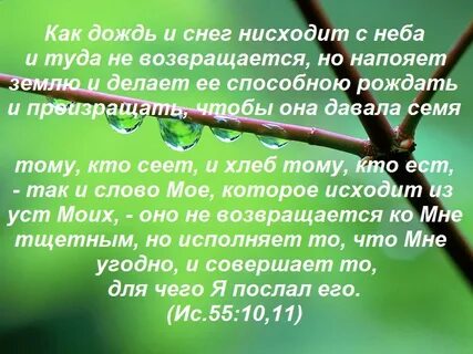 Осуществил то к чему