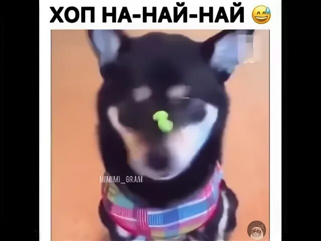 Тай най най